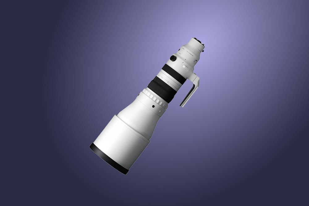 Sigma 300-600mm f/4 DG OS Sports Lens
